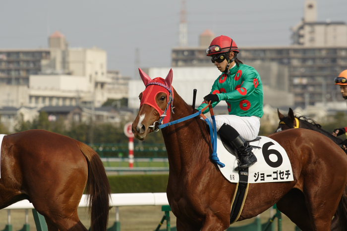 6R サラブレット系2歳 馬場入場_a0077663_17554225.jpg