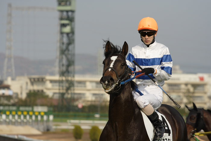 6R サラブレット系2歳 馬場入場_a0077663_17555421.jpg
