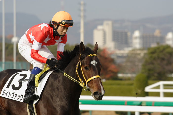 6R サラブレット系2歳 馬場入場_a0077663_1755574.jpg