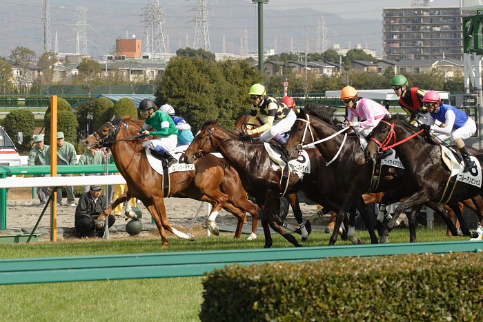 4R サラブレット系2歳 レース前半_a0077663_1755875.jpg