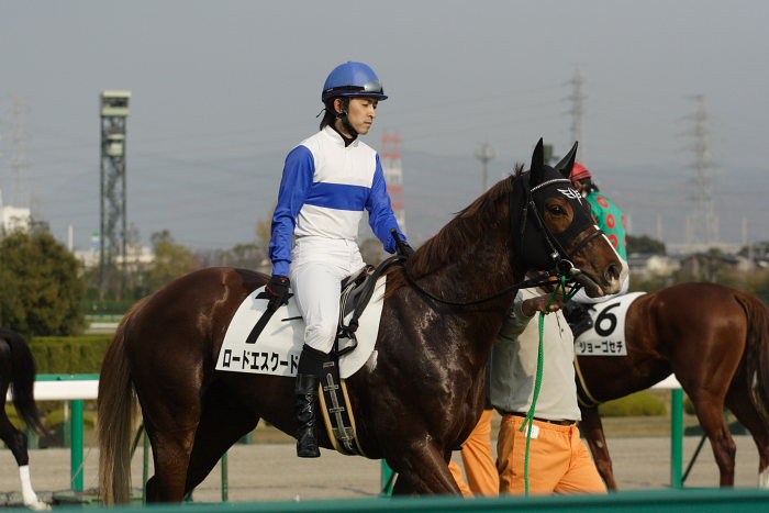 6R サラブレット系2歳 馬場入場_a0077663_1759078.jpg