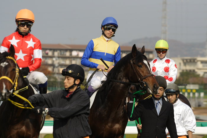 6R サラブレット系2歳 馬場入場_a0077663_17591848.jpg