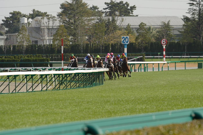 4R サラブレット系2歳 レース前半_a0077663_1762284.jpg