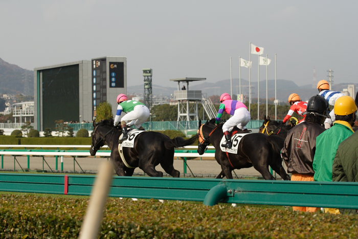 6R サラブレット系2歳 レース_a0077663_18251687.jpg