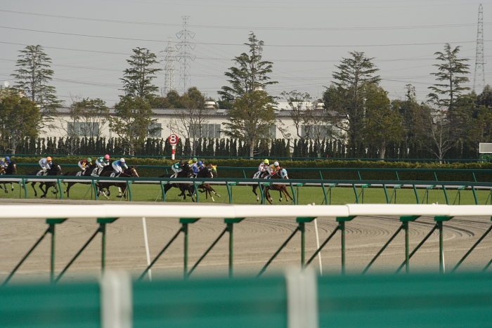 6R サラブレット系2歳 レース_a0077663_18252741.jpg