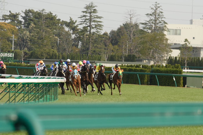 6R サラブレット系2歳 レース_a0077663_18253963.jpg