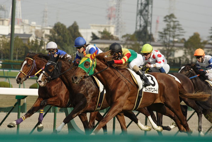 6R サラブレット系2歳 レース_a0077663_18261597.jpg