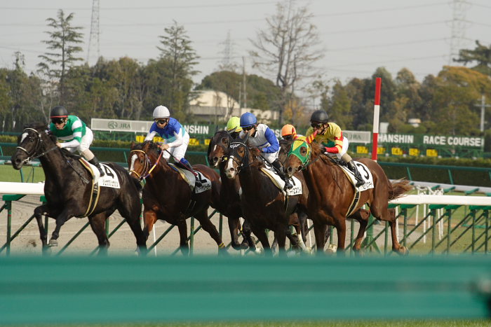 6R サラブレット系2歳 レース_a0077663_1826371.jpg