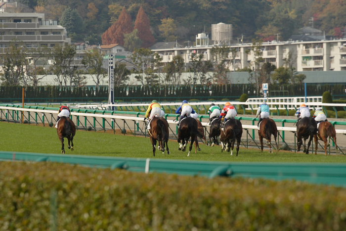 6R サラブレット系2歳 レース_a0077663_18264741.jpg