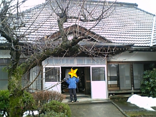 d0028463_19395997.jpg