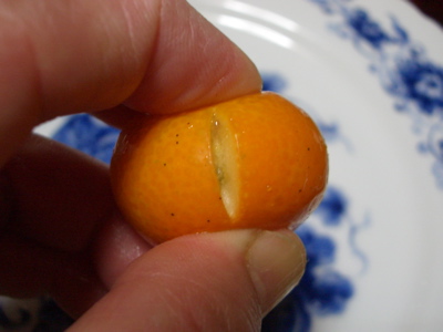 きんかんの焼酎煮_d0105063_21432162.jpg