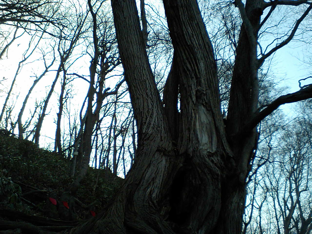 d0098665_17212560.jpg