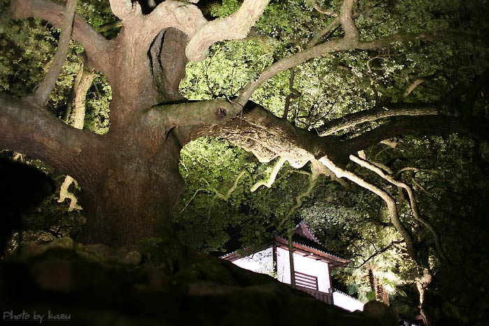 f0127273_20111656.jpg