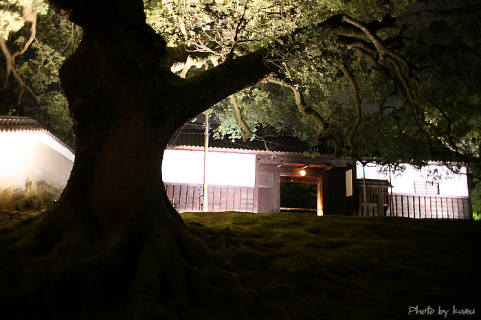 f0127273_20114127.jpg