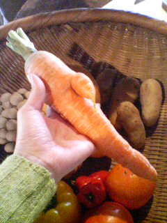 a0094090_0201082.jpg