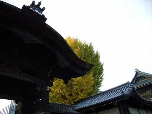 本願寺_f0064192_21462421.jpg