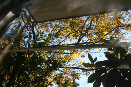 d0100095_12402916.jpg