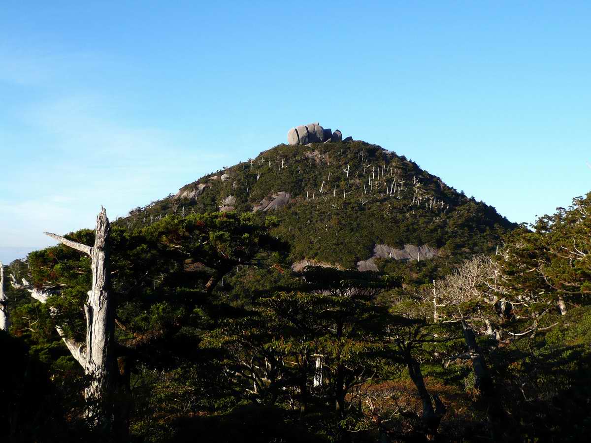 宮之浦岳－日本百名山完登付添登山 : 山好き的日々＠京都北山