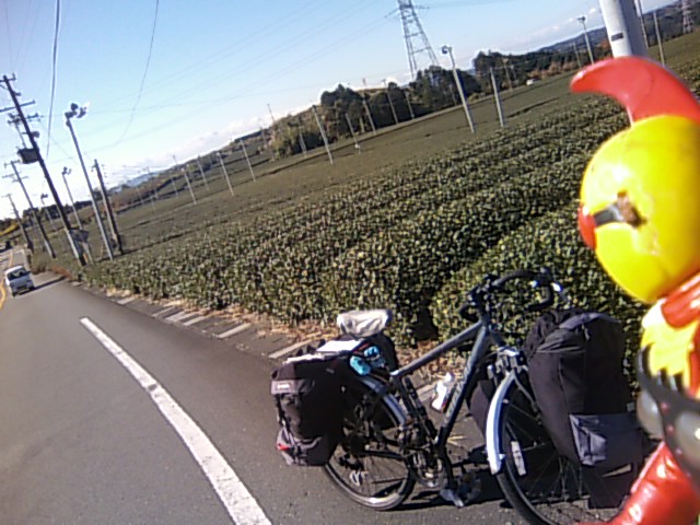 b0001402_558811.jpg