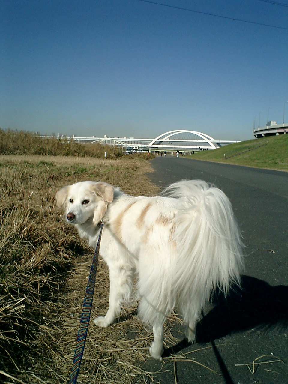 a0032004_3134025.jpg