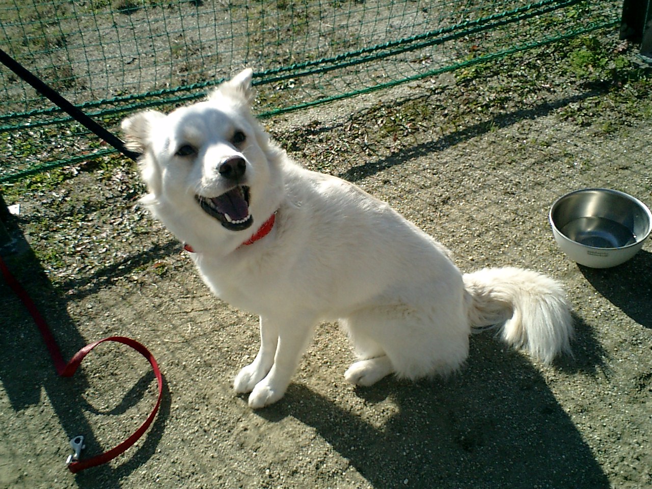 a0032004_403962.jpg