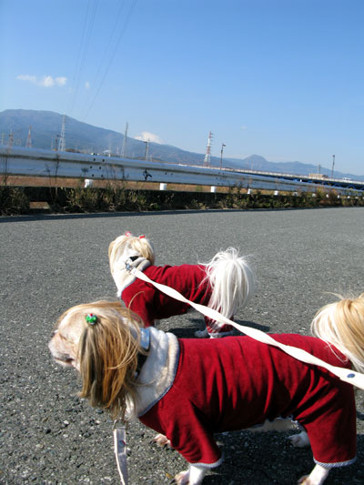 c0011204_21484184.jpg