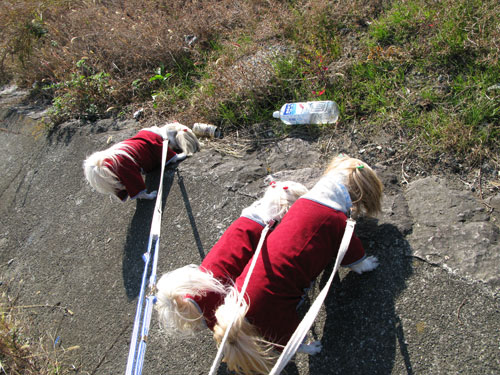 c0011204_21491859.jpg