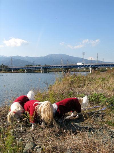 c0011204_21533636.jpg