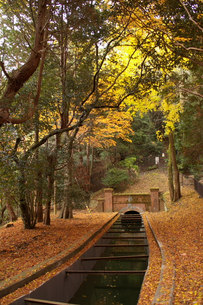 南禅寺と永観堂の紅葉_c0077605_014176.jpg