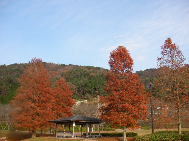 f0054610_17483969.jpg