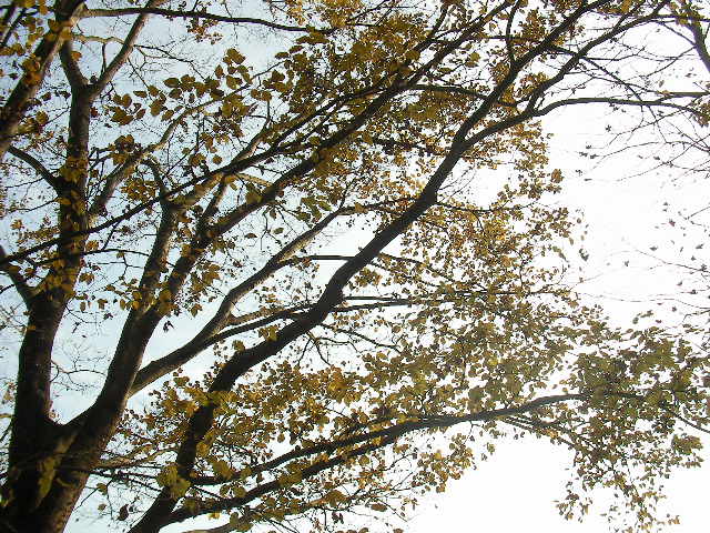 f0054610_1748819.jpg