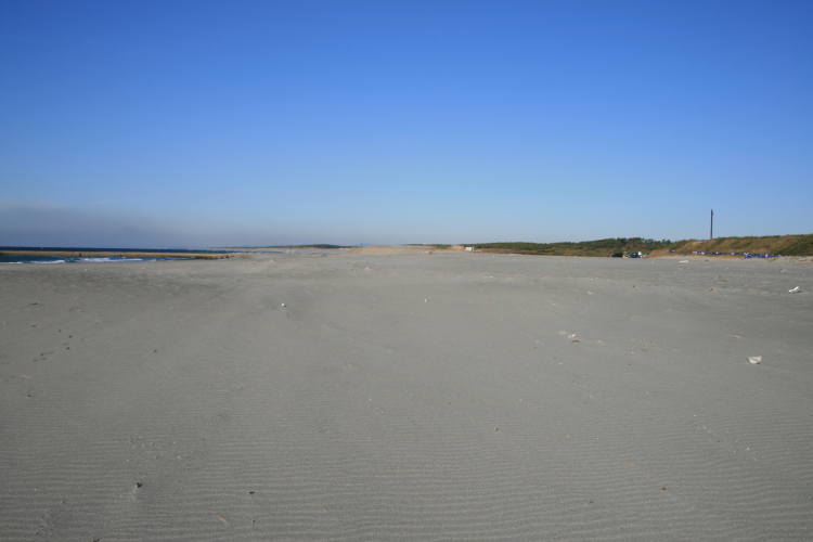 b0035211_1362844.jpg
