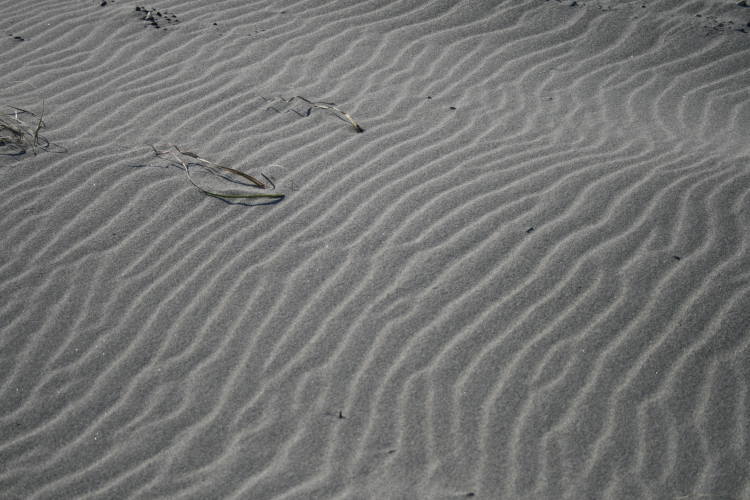 b0035211_1392161.jpg