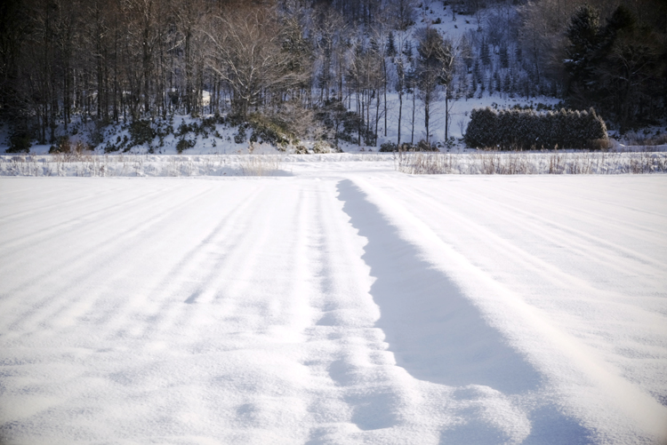今期の積雪は?_c0033513_1755324.jpg