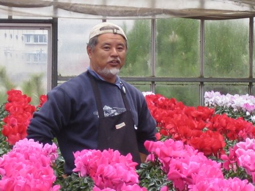 堤園芸・サンタのお花屋さん12/10 NHK放映_c0038619_23313423.jpg