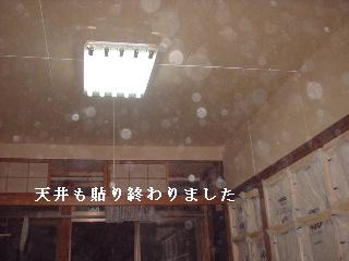 f0031037_17384627.jpg