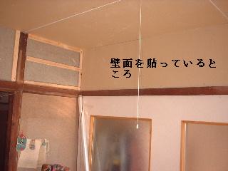 f0031037_1738572.jpg