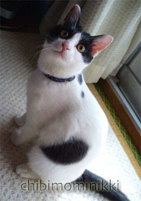 そーいえば・・・_e0044139_2381920.jpg