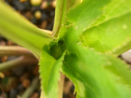 c0025140_216422.jpg