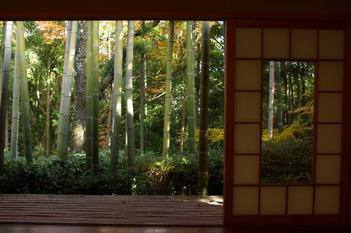 京都　嵐山（12月1日）･･･大河内山荘-2_a0031741_1520792.jpg