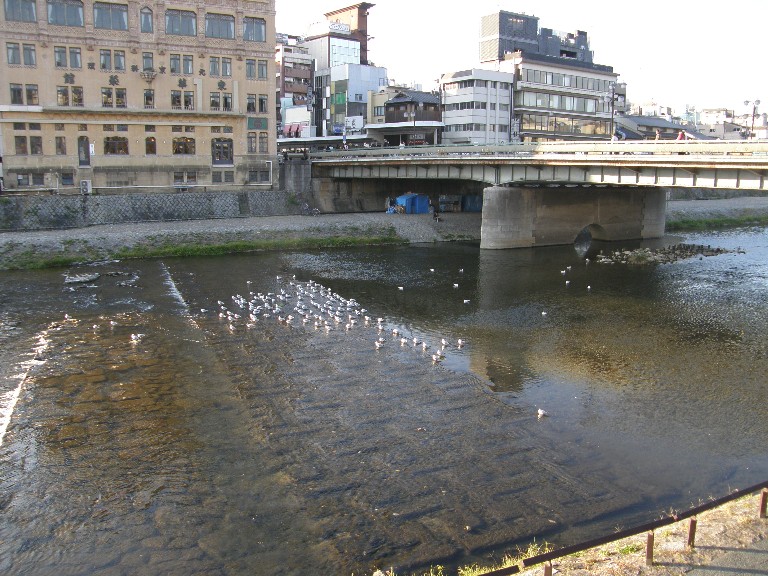 京都のもみじ_f0128542_23303416.jpg