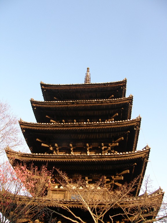 京都のもみじ_f0128542_2332069.jpg