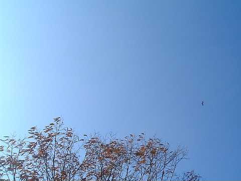 f0090444_21282790.jpg