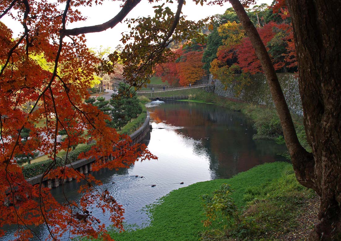 錦秋の湖東三山_c0094546_143684.jpg