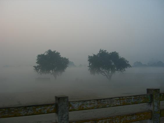b0001947_2346835.jpg