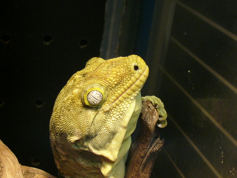 f0096947_01599.jpg