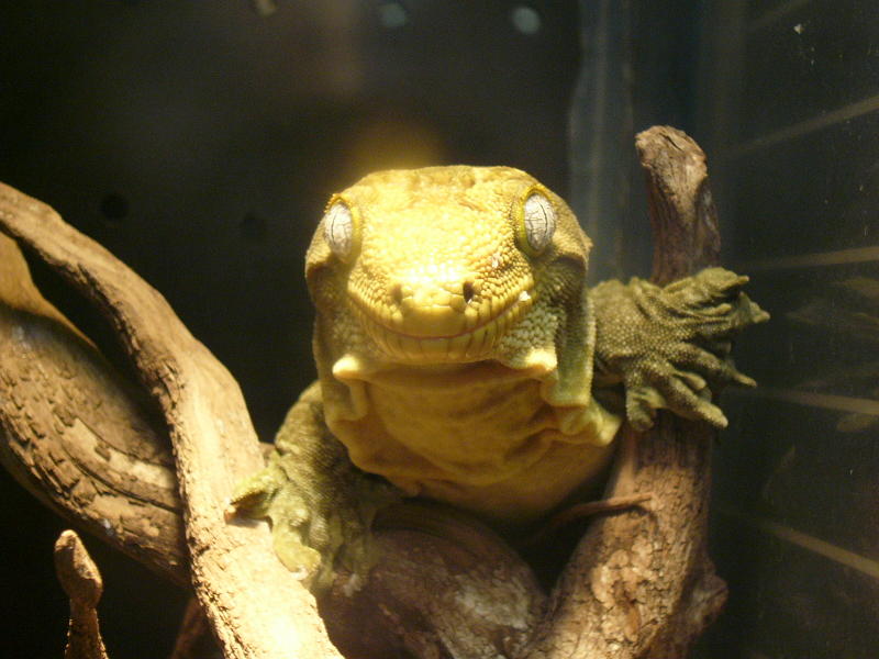 f0096947_0161036.jpg