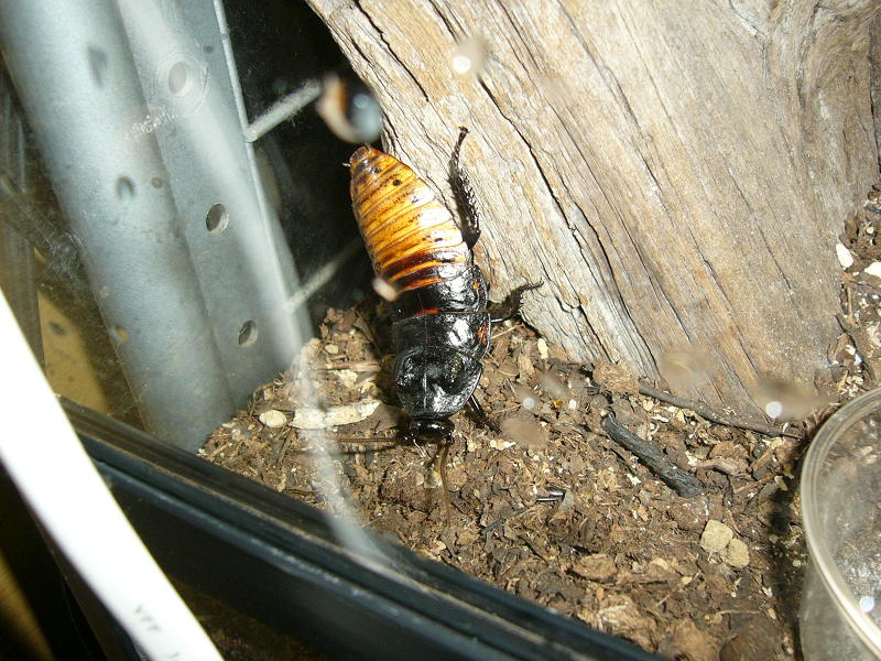 f0096947_028388.jpg