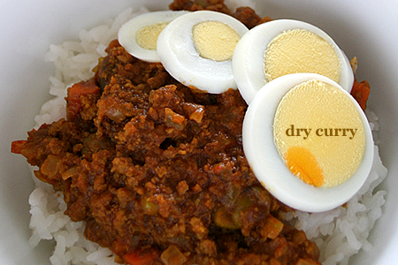 とにかくカレーがスキっ!_d0124248_951488.jpg