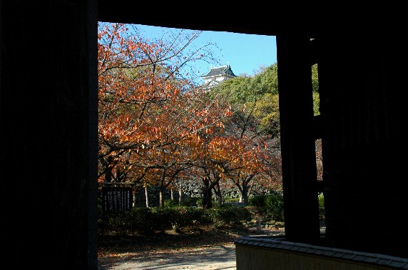 紅葉・黄葉_b0093754_002067.jpg